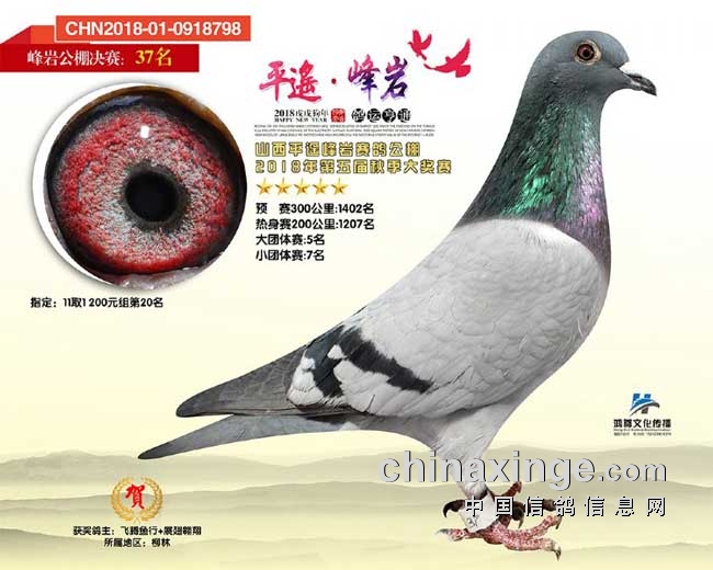 晋祠公棚最新资讯,观点论述