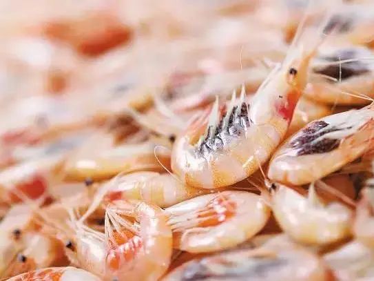河虾什么时候上市?科技带你探索新鲜美味的新纪元!