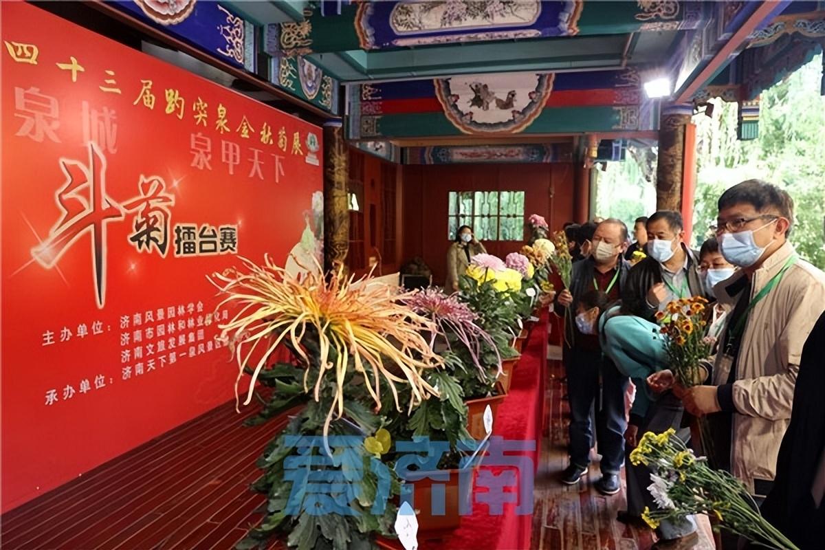 济南绘画比赛,艺术盛宴等你来!