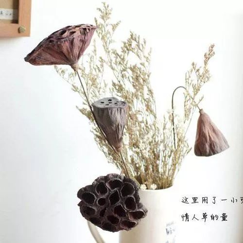 最新干花，一种艺术表现与自然魅力的融合