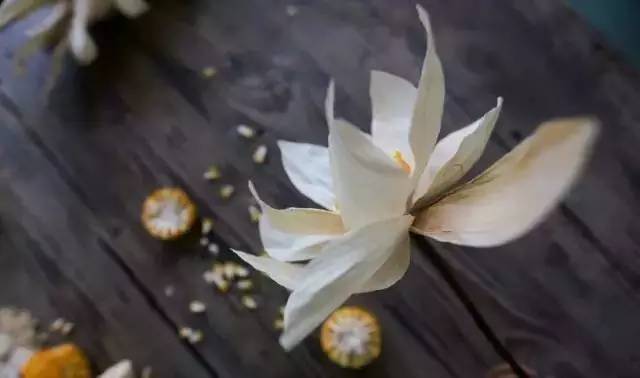 最新干花,一种艺术表现与自然魅力的融合