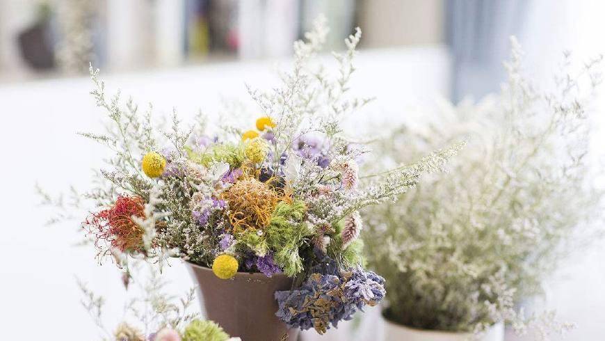 最新干花,一种艺术表现与自然魅力的融合