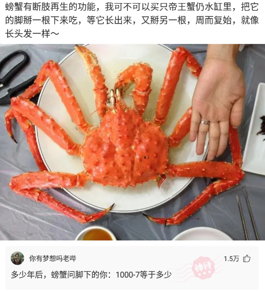 最新帝王蟹,友情与陪伴的温馨故事