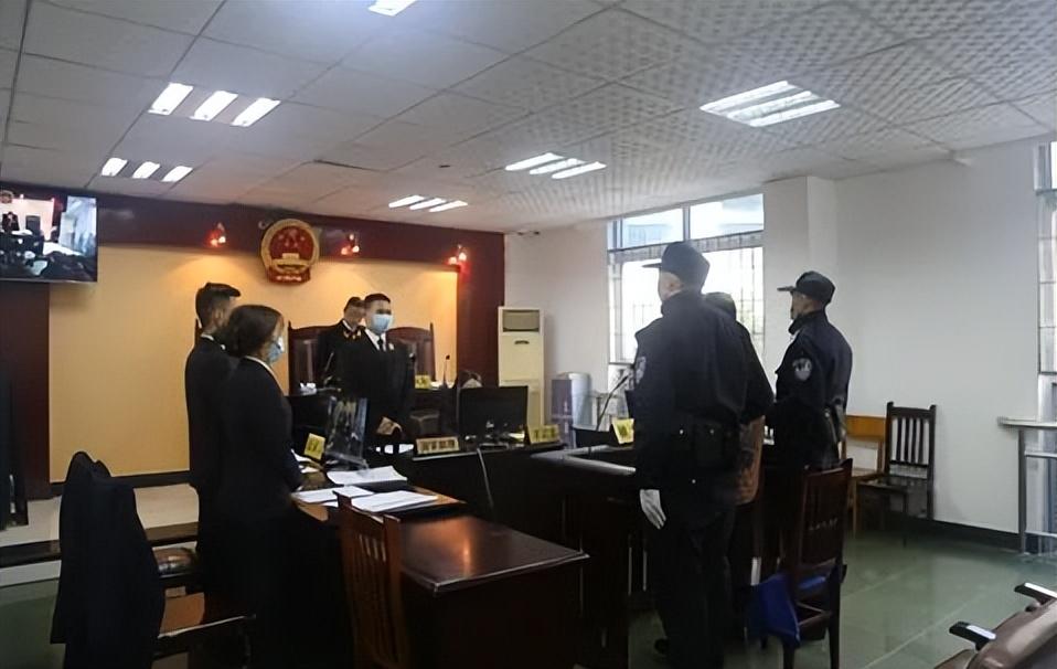 最新盗窃立,高科技产品的革新之作,重塑生活体验