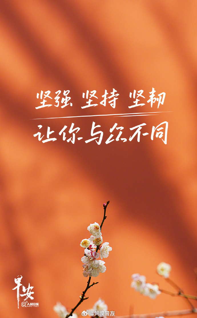 蚌埠赏花最新,一场花语与励志的交响