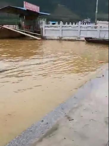 最新停课铃的争议,重新审视其影响与价值