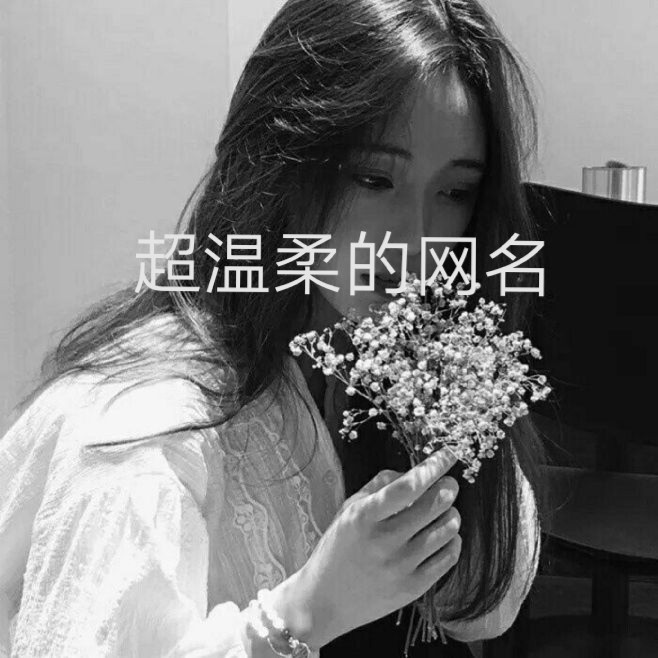 温柔网名最新,一场网络文化的温柔革命