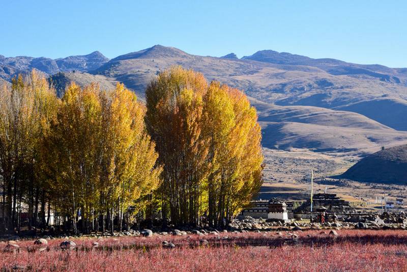 法国最新病例,一场自然美景的探索之旅,寻找内心的平和与宁静