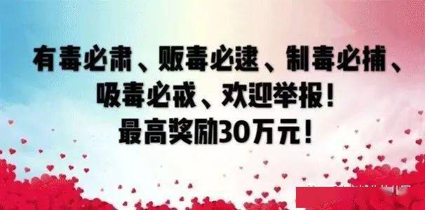 最新禁毒口号,共建无毒社会,我们在行动