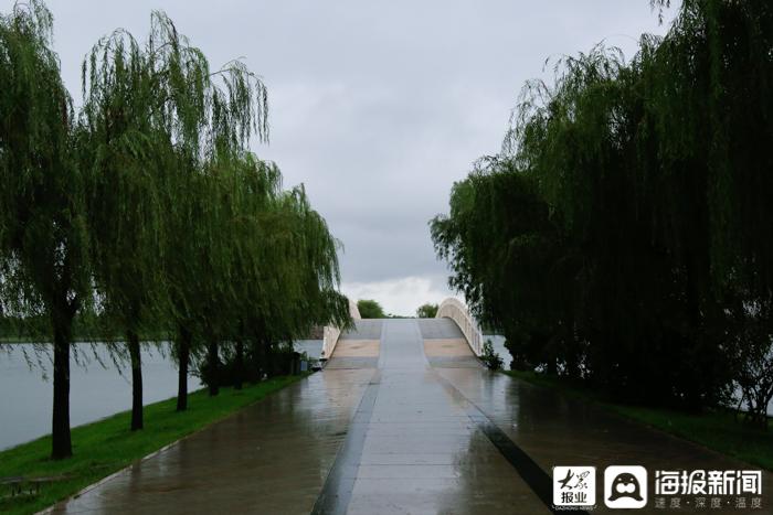 最新东营,一场自然美景的探索之旅,寻找内心的平和与宁静