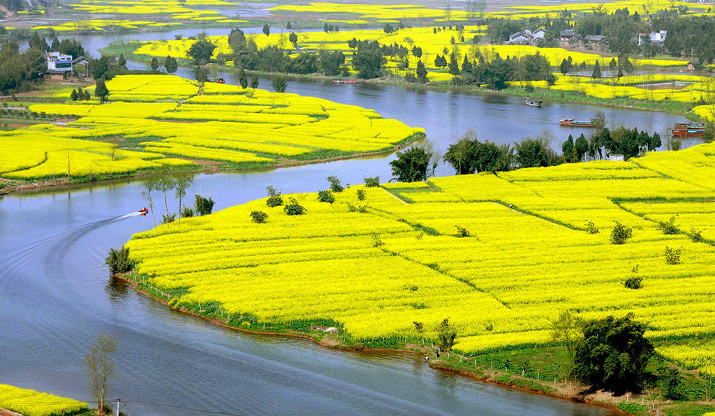 最新青桔,一场自然美景的探索之旅