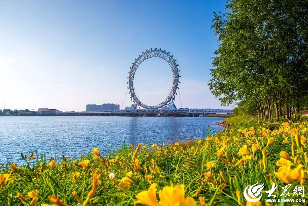 最新问政潍坊,一场自然美景的探索之旅