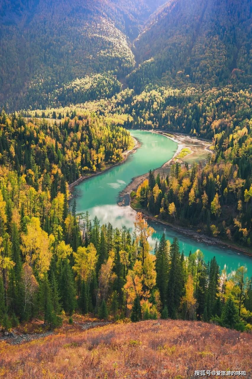 驱虎最新,一场与自然美景的轻松邂逅