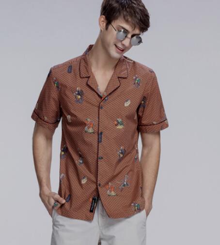 岳阳肺炎最新,背景、事件与影响