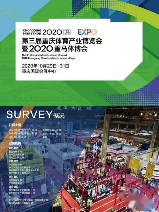 当阳疫情最新动态,防控进展与应对策略