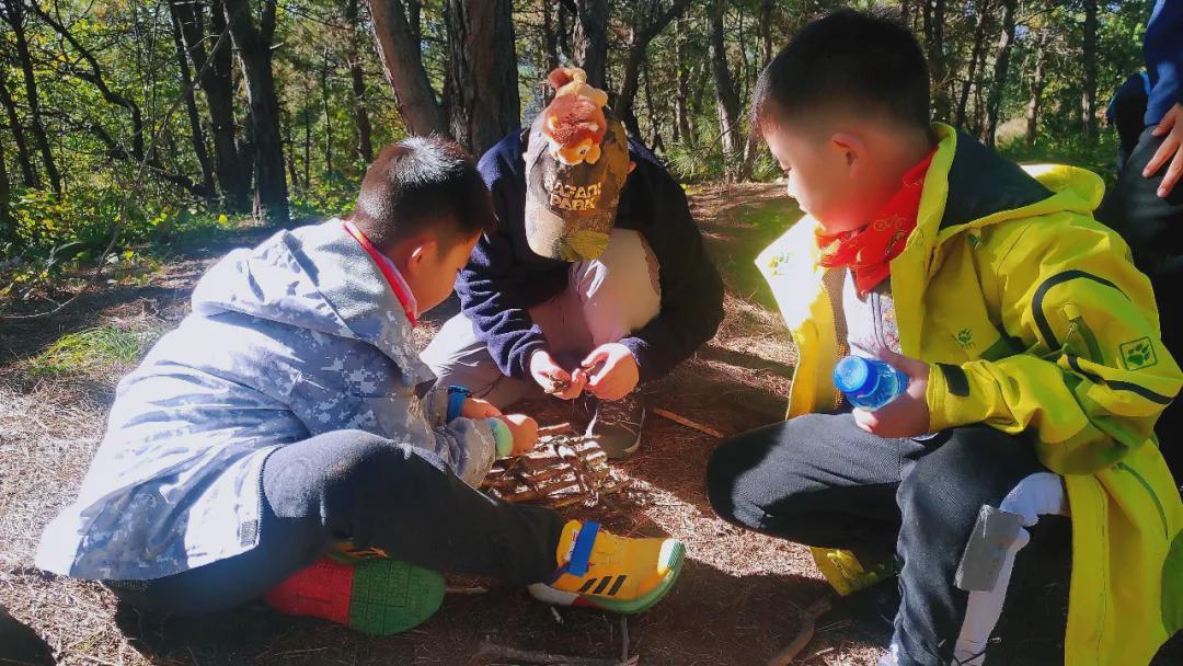 最新潜能果🍊,解锁你的无限可能!