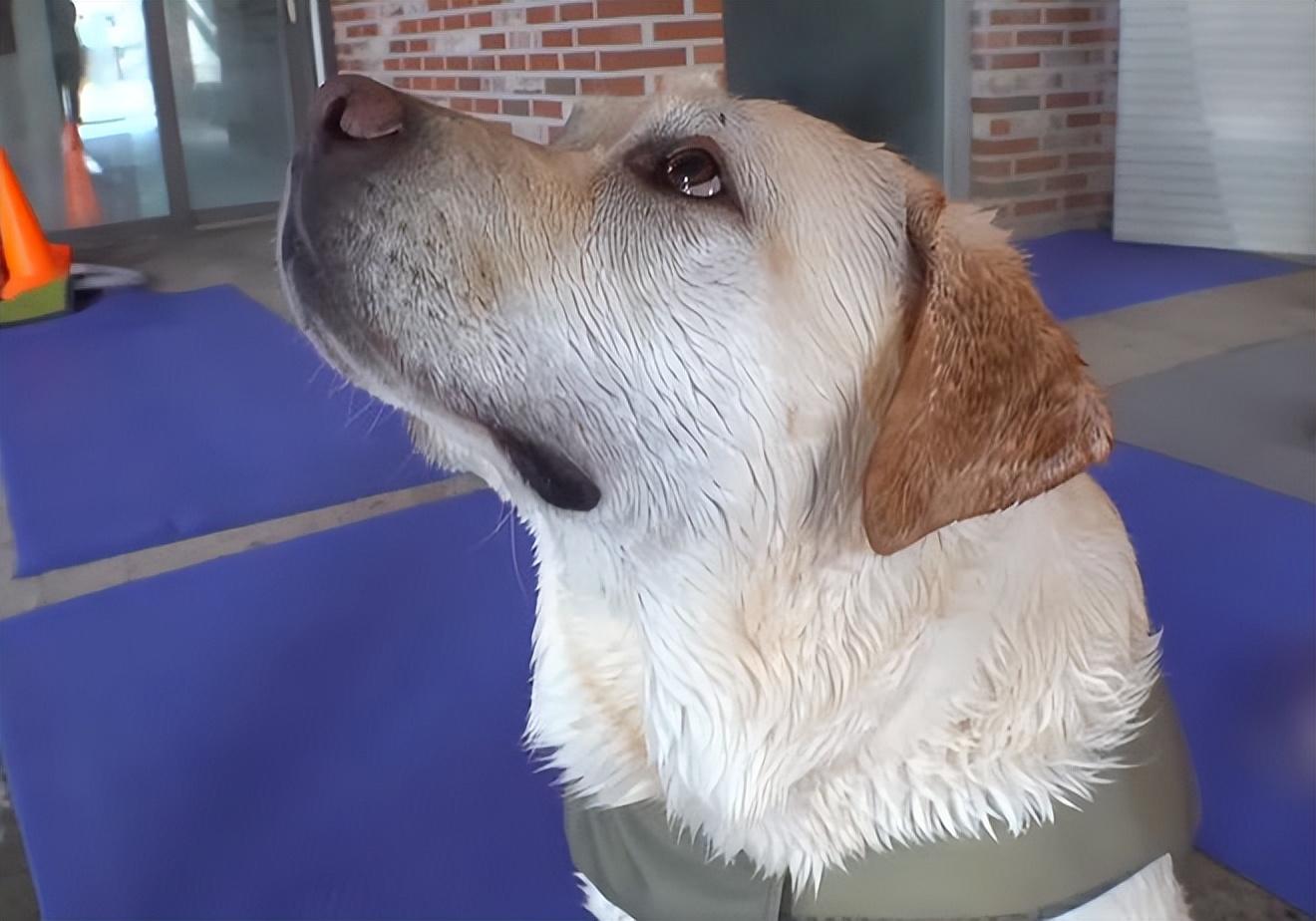 病情统计最新,小明的奇妙健康之旅