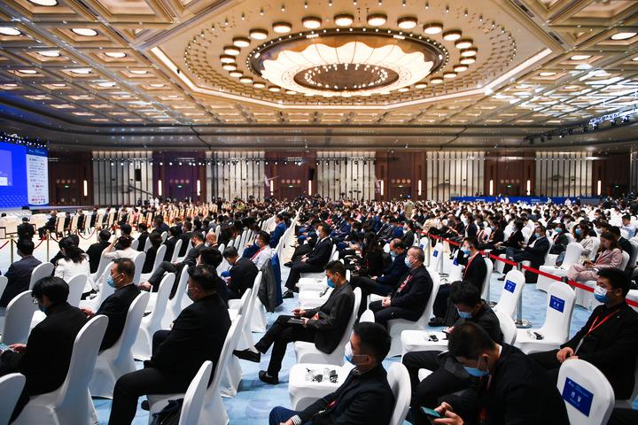 疫情最新题材,全球视野下的观察与探讨