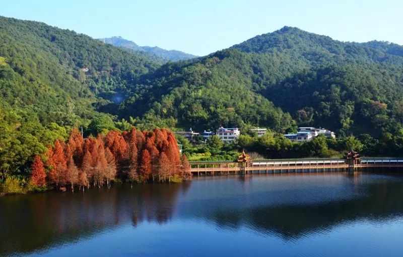梅县疫情最新,大自然中的微笑与平静之旅