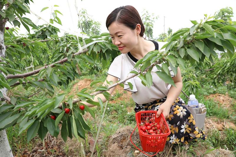 樱桃最新影视——小杰的影视之旅与友情之光