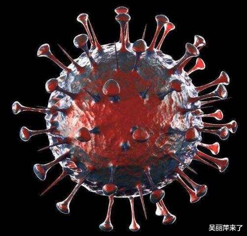 非典病毒最新,回顾与影响