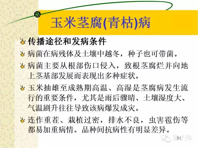 蝗虫危害最新,防治指南与应对策略