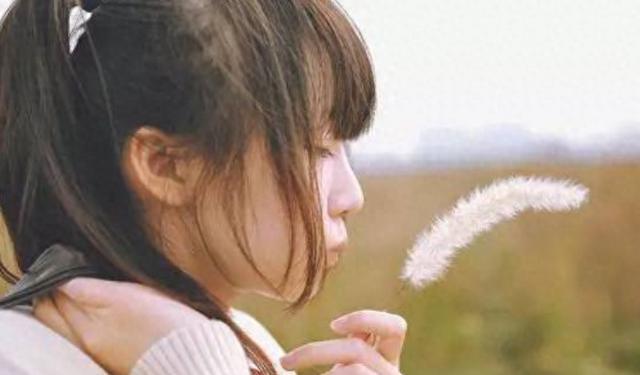 最新狗笑声,小巷深处的特色小店探秘