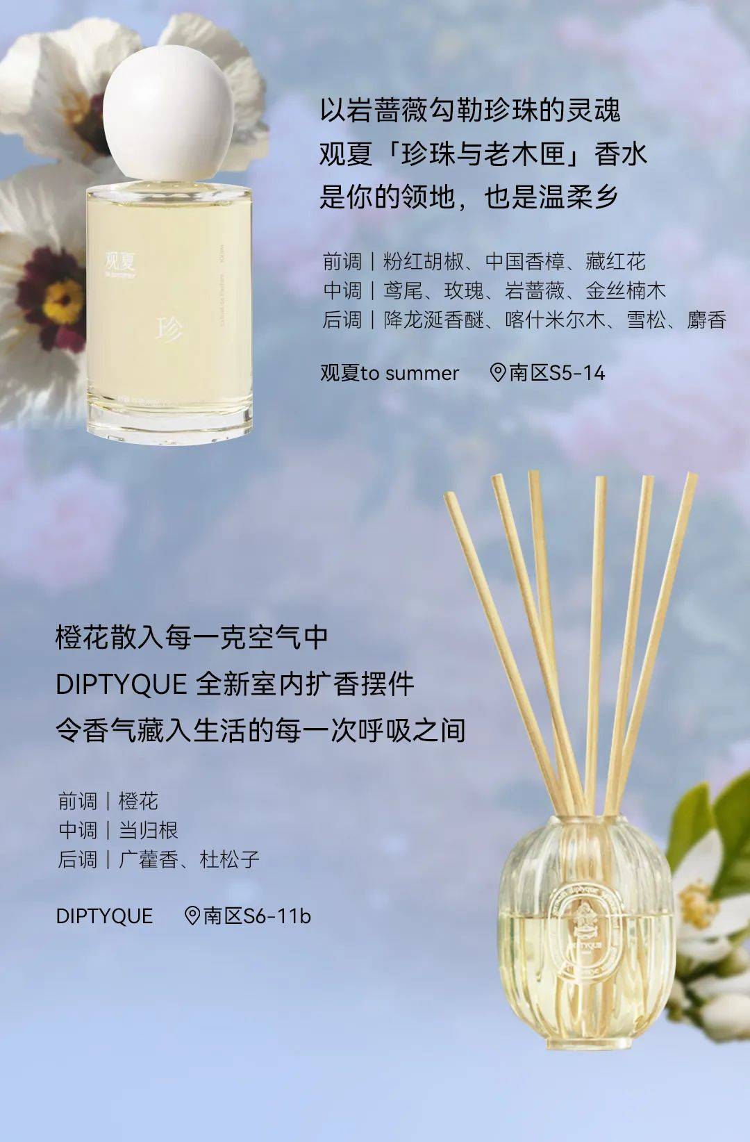 哪种香最新?香气大解密🔍