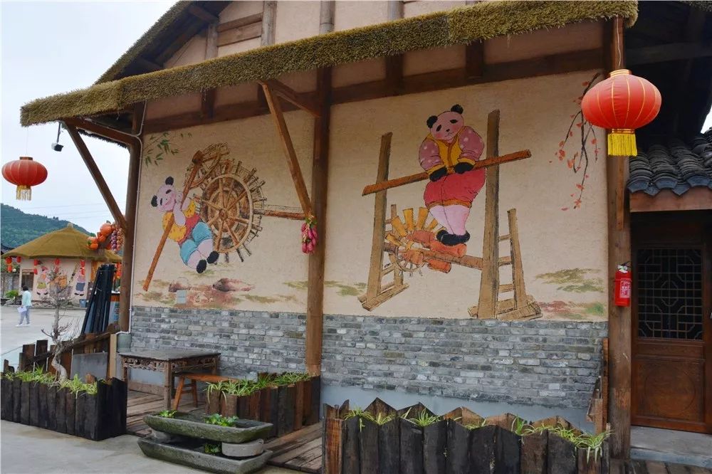 捐款最新动态,一场探索自然美景的旅行盛宴