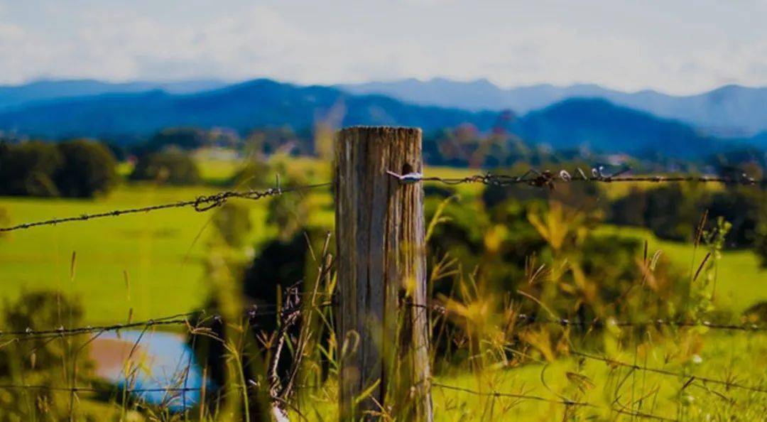 扶风最新疫情下的自然之旅,寻找内心的宁静与平和