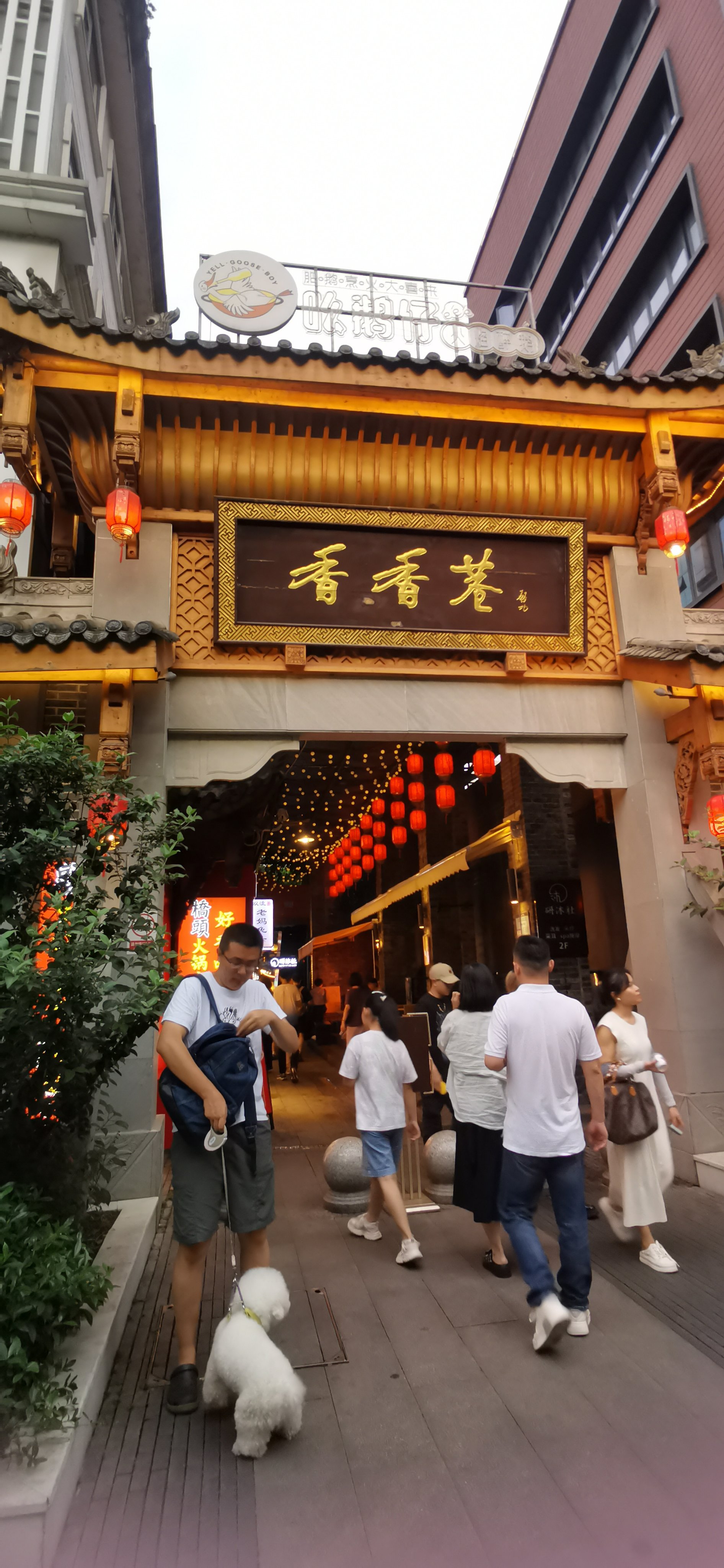 成都冠状最新,巷弄深处的独特风味