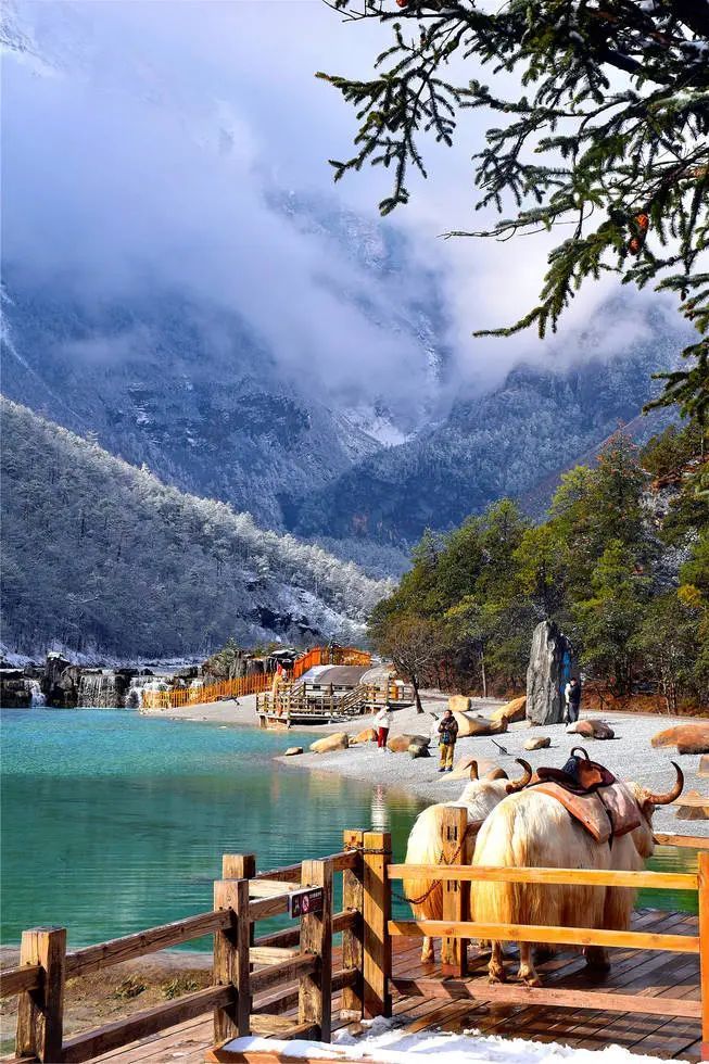 丽江最新肺炎?不,我们要探索的是自然美景与内心的平静之旅!