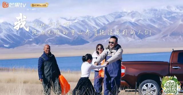 韩剧安利最新,探索自然美景的治愈之旅,寻找内心的平和与宁静