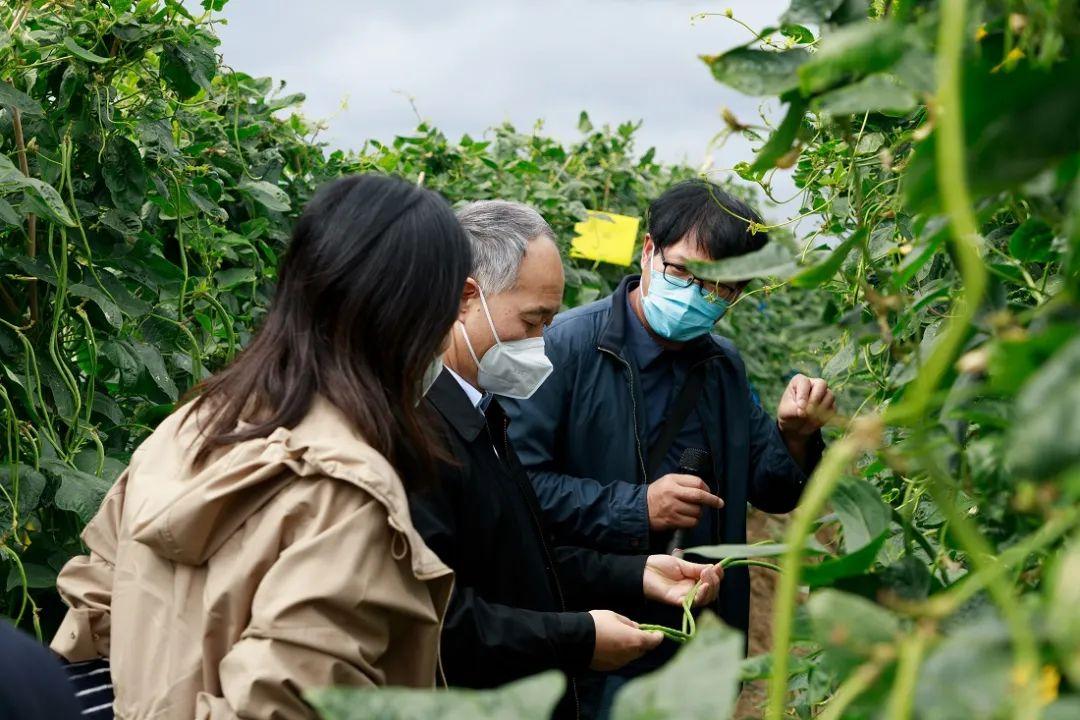 陵水疫情下的温馨日常