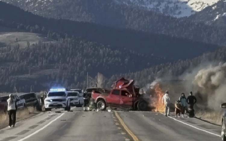 最新死亡情况?不存在的!我们在路上的生命之旅如此美妙