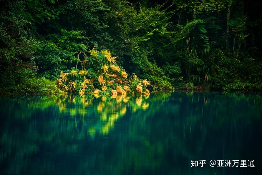 曲靖最新病例,一场自然美景的旅行探索,寻找内心的平和与宁静