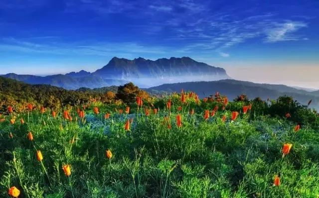 最新萌影视,探索自然美景的治愈之旅