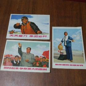 印度最新战,日常小趣事与深厚的友情纽带