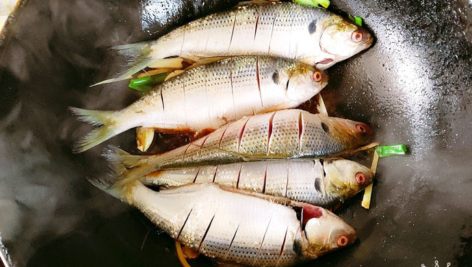 最新疫情鱼,捕捉、处理与烹饪的详细步骤指南