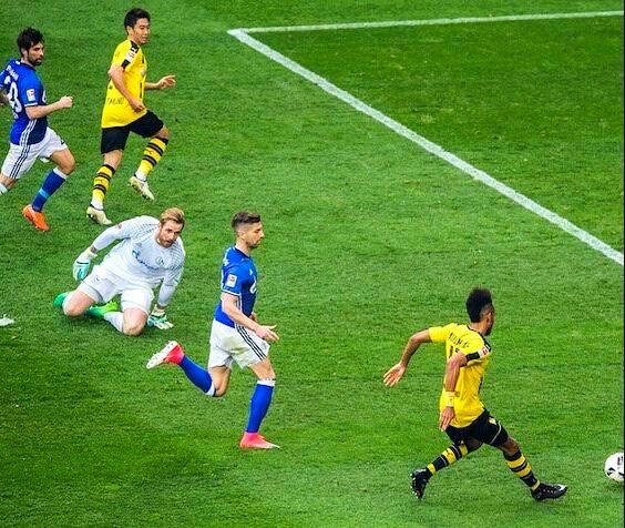 耶博最新,深度探讨其观点与影响