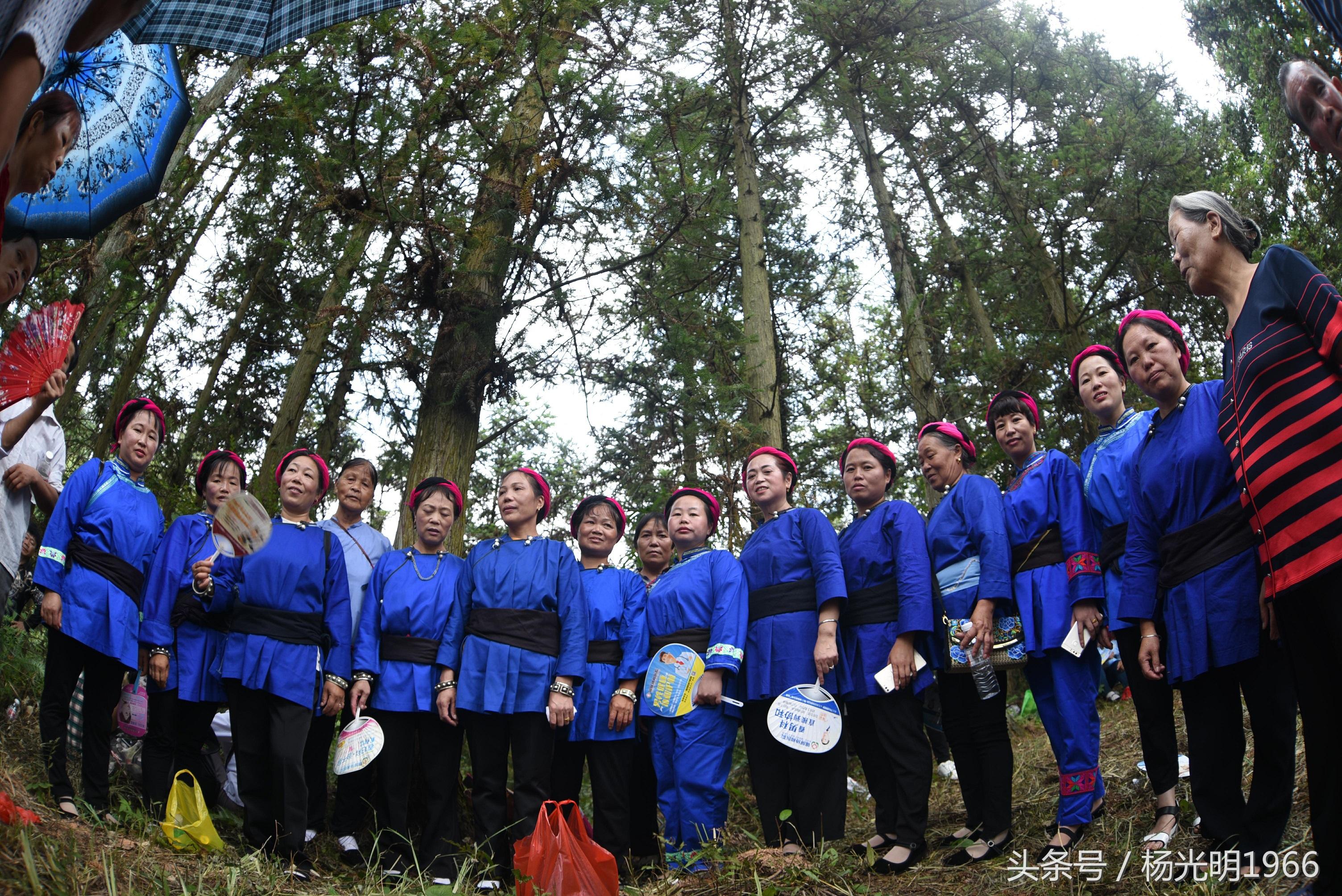 冲红灯最新,一场自然美景的心灵之旅
