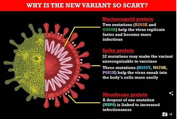 病毒更新最新警惕!病毒变异,你需要知道的一切都在这里!🚨