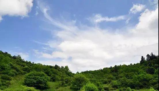 狼烟四起 第2页