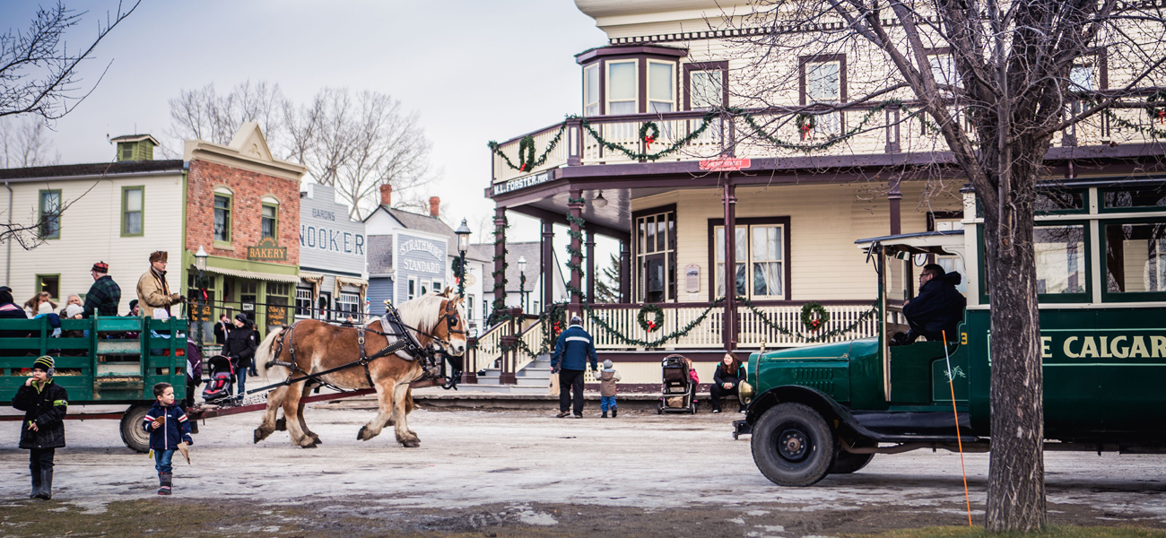加拿大最新回应,巷弄深处的独特风味探秘