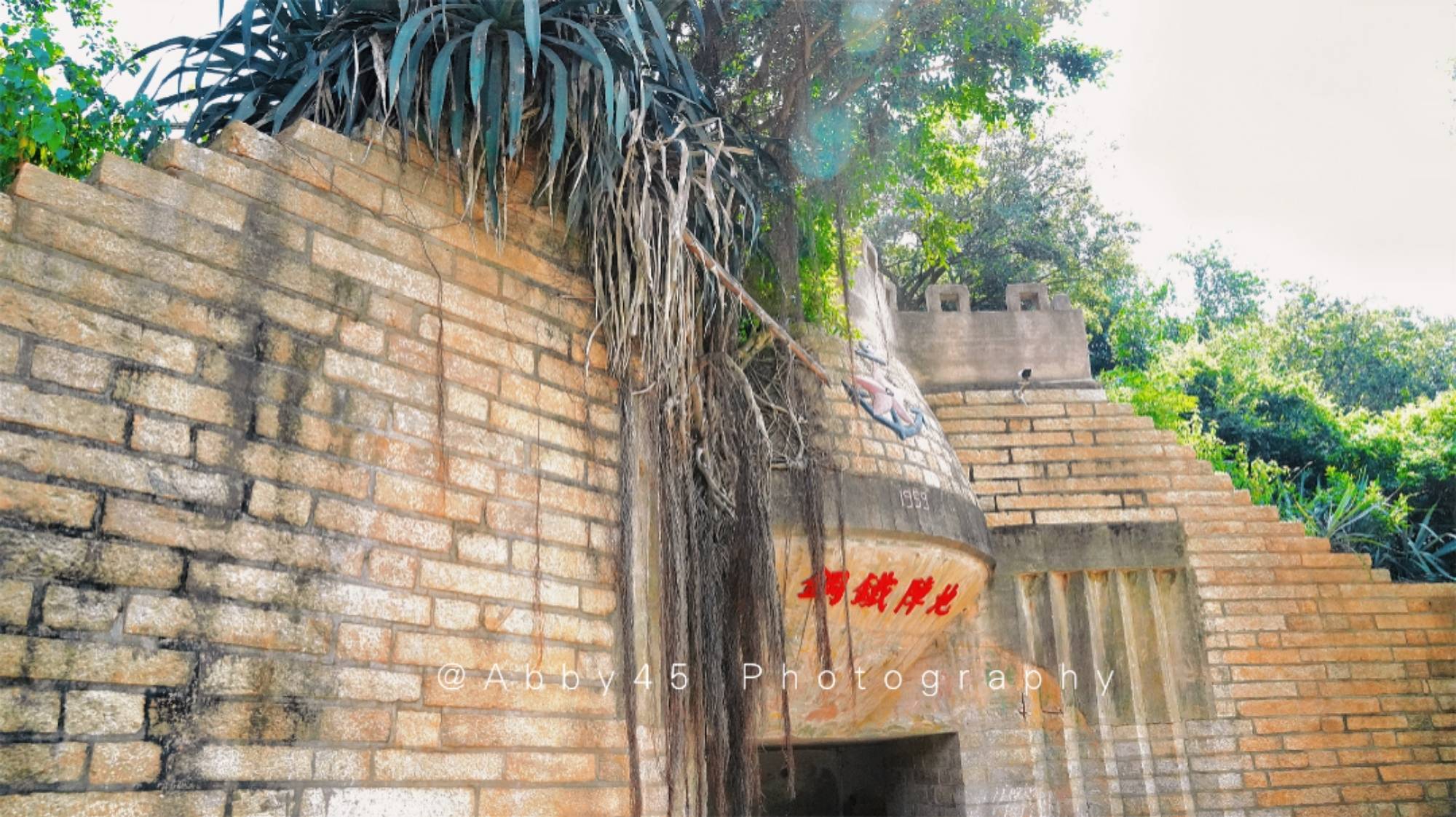 平潭最新开发,小巷中的隐藏宝藏,探索一家特色小店的独特魅力