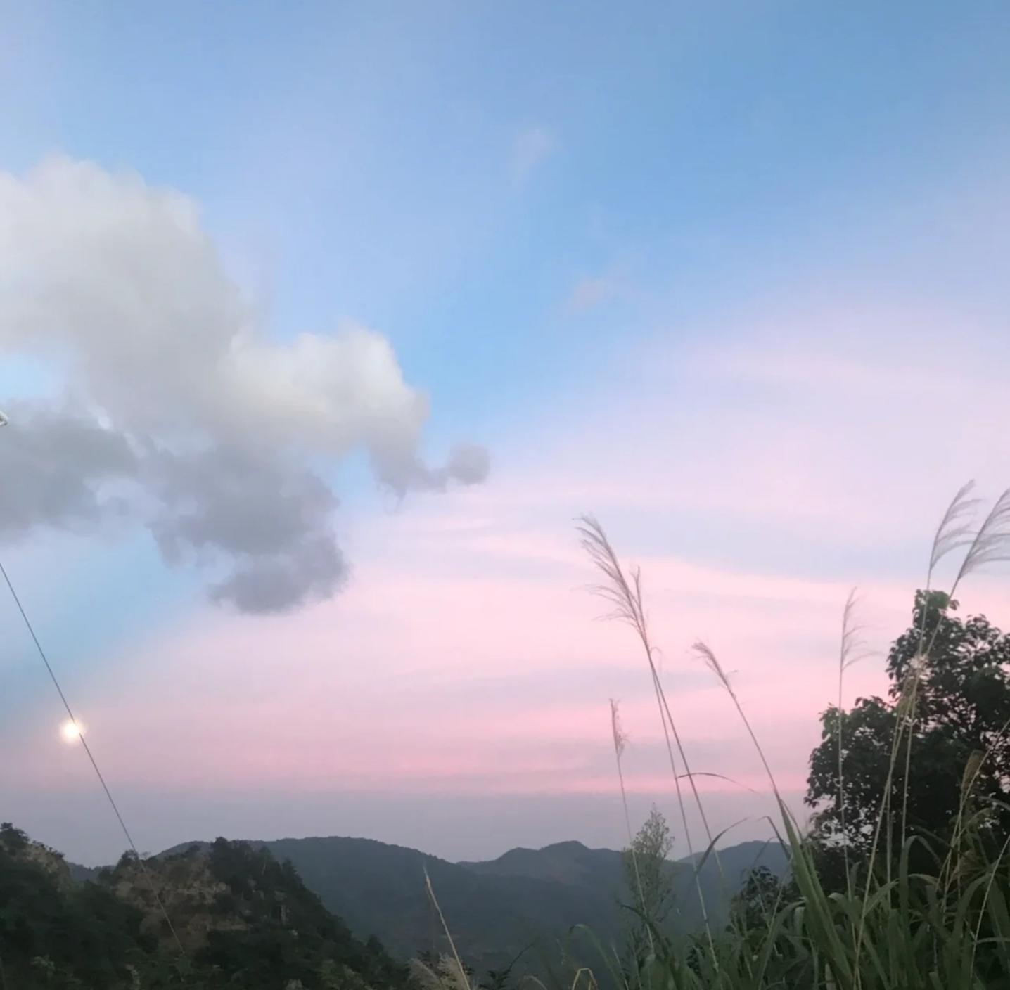 浙江最新新增,小巷深处的惊喜