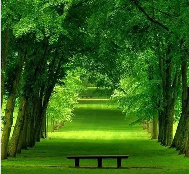 最新组合柜,一场自然美景的心灵之旅