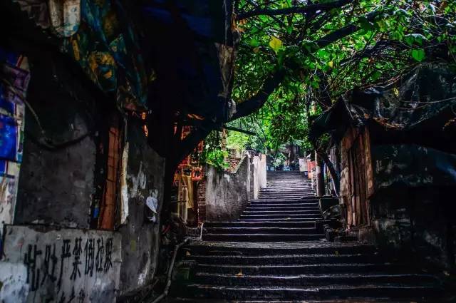 顾静好最新,小巷深处的独特风味