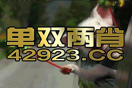 管家婆204年资料揭秘，一肖配成龙传奇