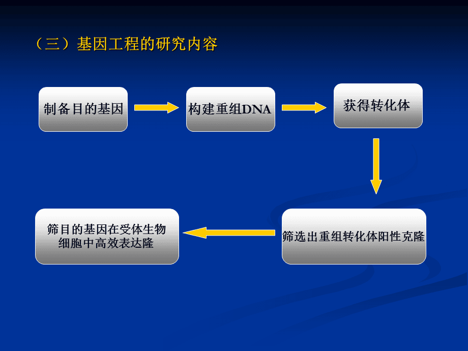 基因工程最新进展揭秘，2013年重要突破与进展报告